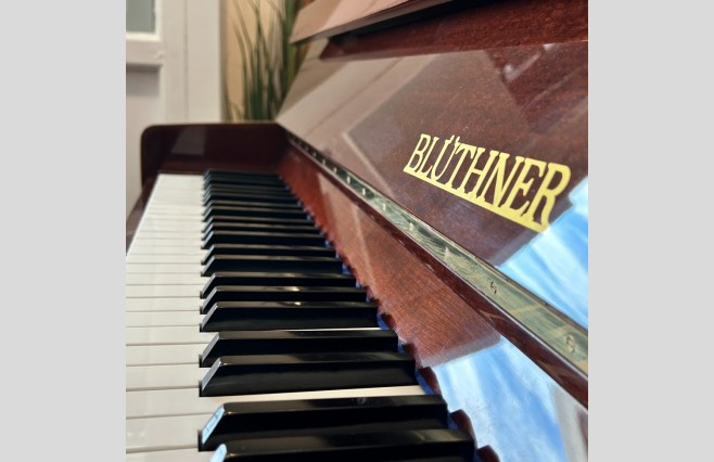 Bluthner Polished Mahogany 110 Upright Silent Piano, Used - All Inclusive Premium Package (SN:143037) - Image 9